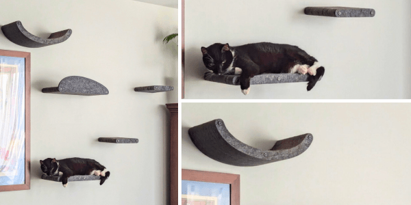 Cat Climber Floor to Ceiling: Best Picks for Maximum Space Saving - Pryde Pets