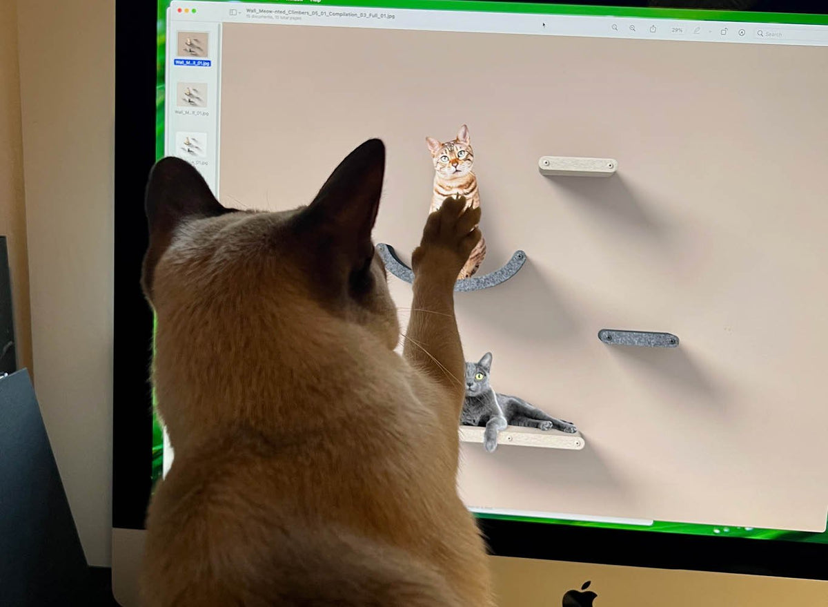 Elevating Feline Enrichment: Pryde Pets' Aesthetic Cat Furniture Solution - Pryde Pets | prydepets.com.au
