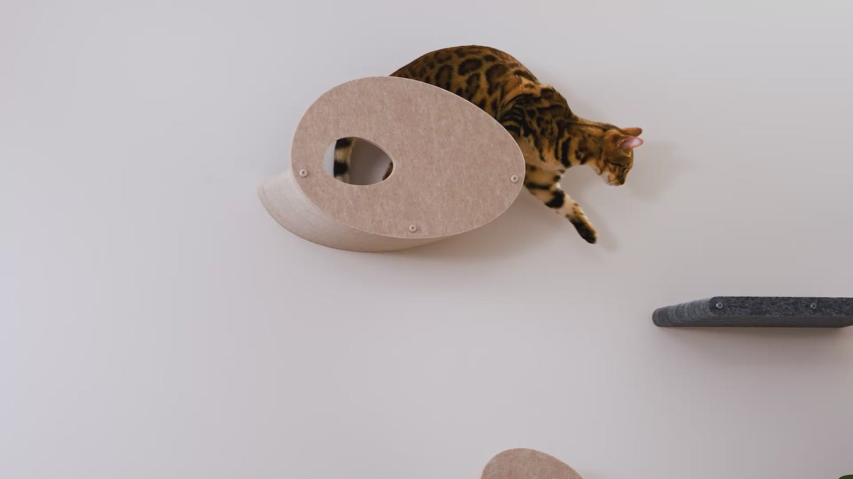 Charcoal Curved Nest Cat Climber Facade Add-On