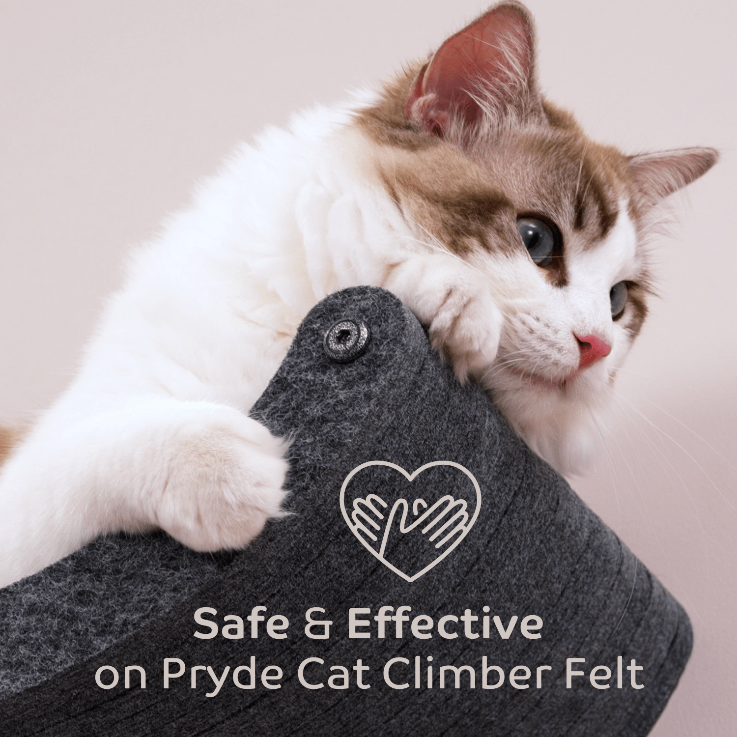 The Fur - nomenal Fur Remover - Pryde Pets