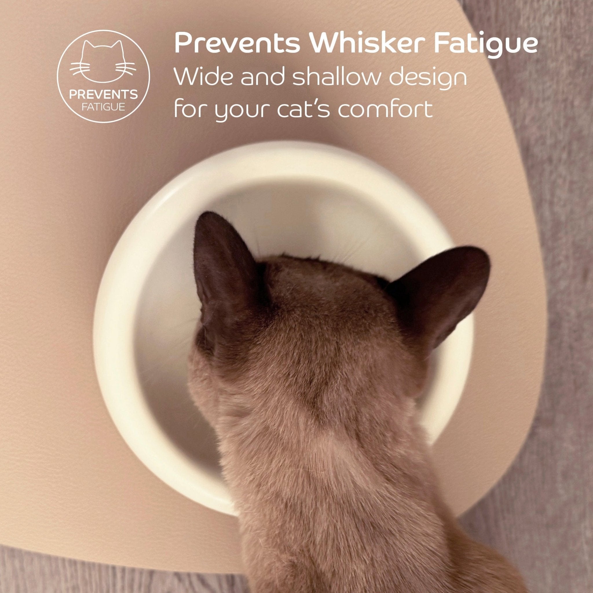 Ceramic Dining Bowl - Pryde Pets